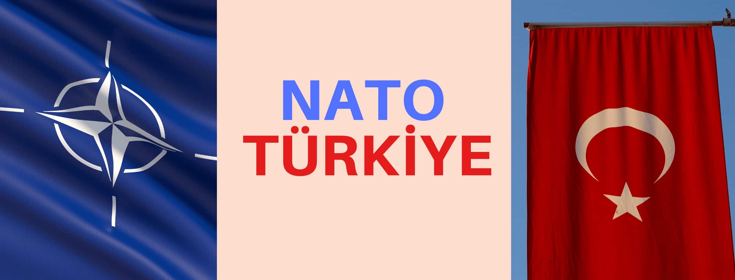 NATO Ve Türkiye 2019 – İnfografik