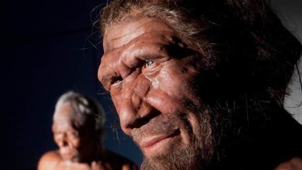 Neandertallerin Neden Yok Olduğu Ortaya Çıktı