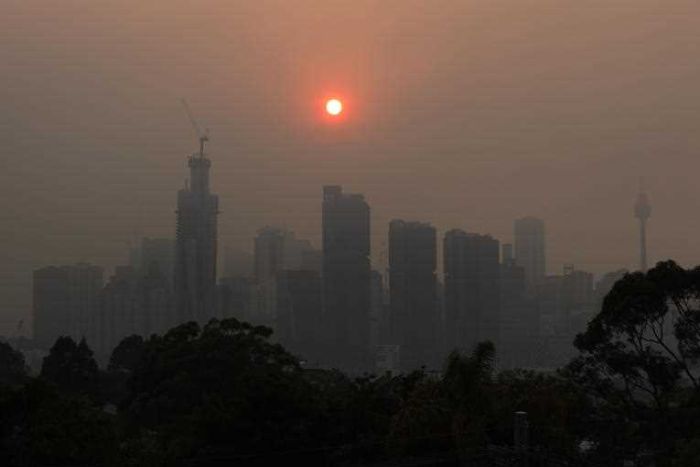 Sidney’de Hava Kirliliği Tehlikeli Seviyenin 12 Katına Yükseldi