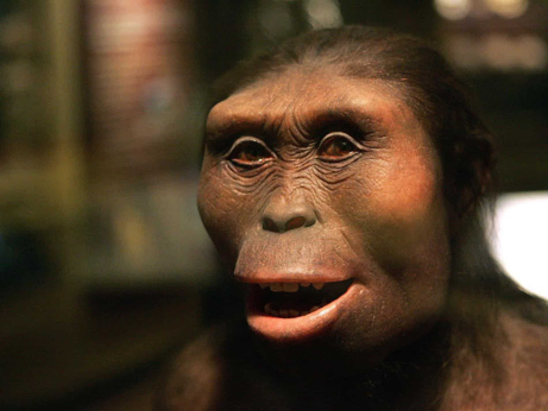 İnsanlar Kendilerini 600.000 Yıl Önce Evcilleştirmeye Başlamışlar