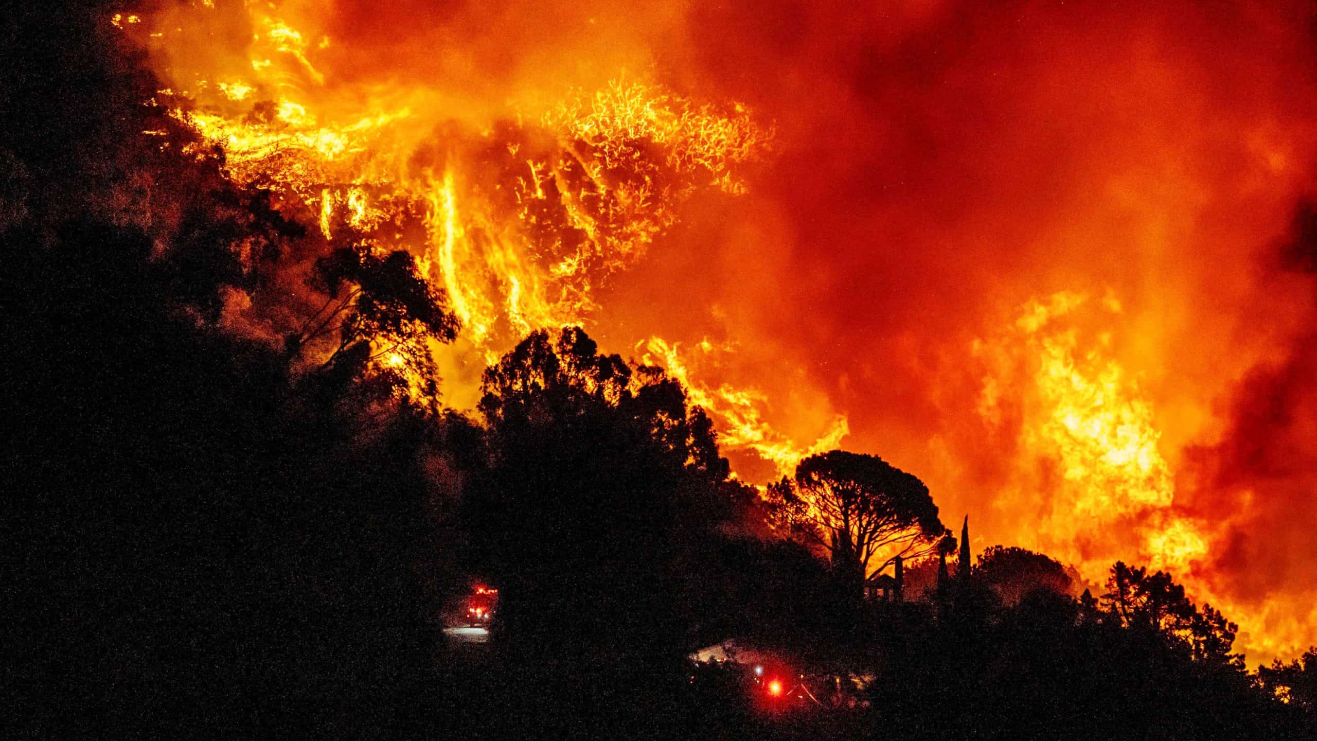 Her Yıl 9 Milyon İnsan Sıcak Maddeler, Ateş Gibi Nedenlerden Yaralanıyor