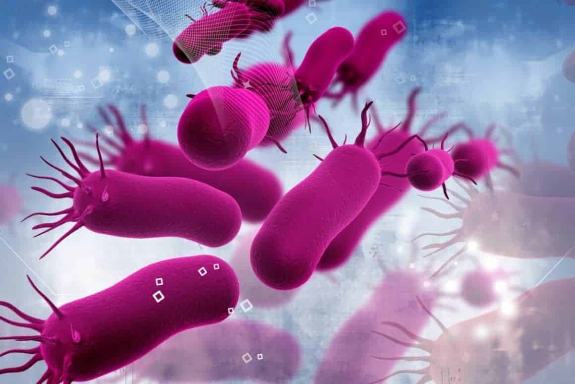 Araştırma: Çölyak Hastalığı Bakteriden Dolayı Oluyor Olabilir