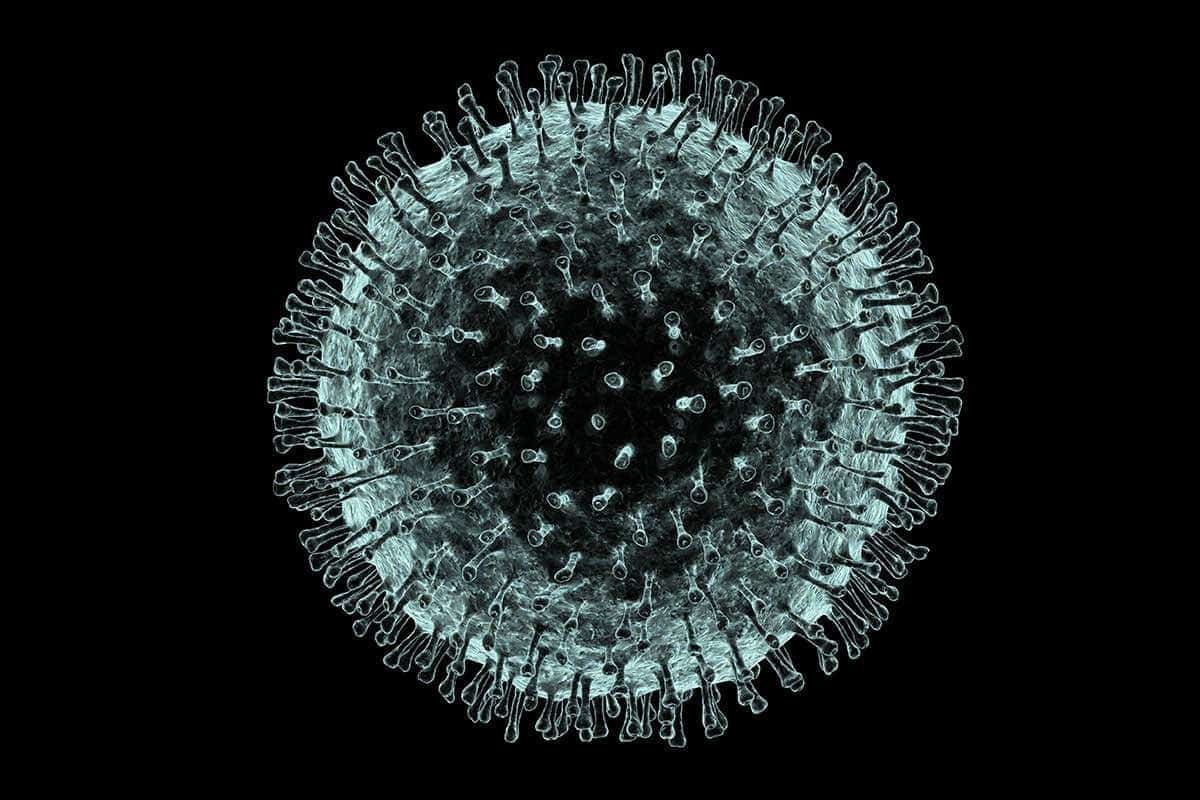 Coronavirüs Öldürüyor Mu?
