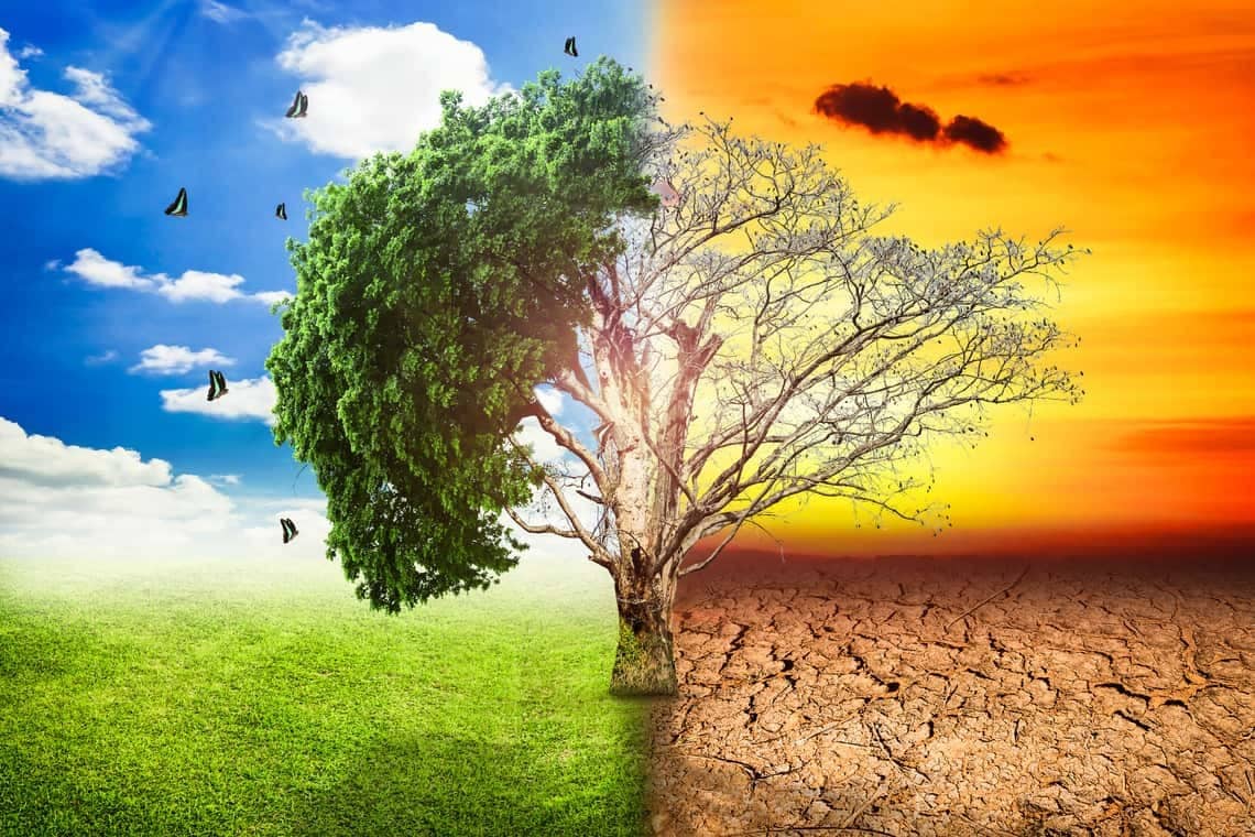 Küresel İklim Değişikliği İnsanları Nasıl Etkiliyor?