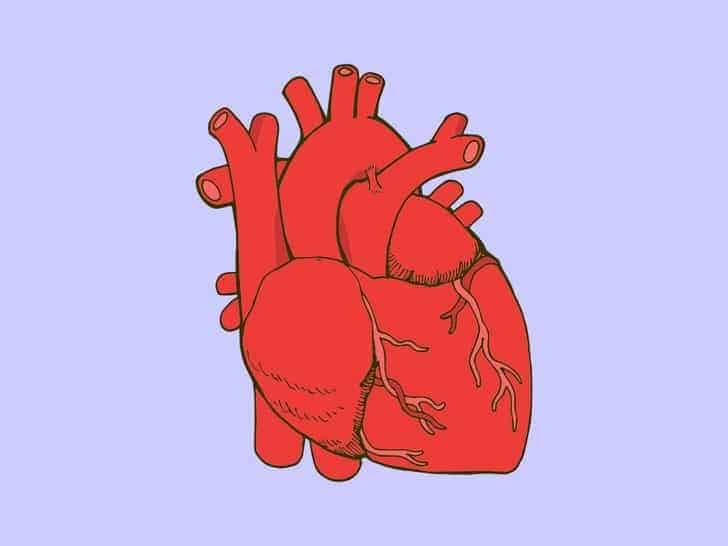 Normal Kalp Atış Hızı Nedir?