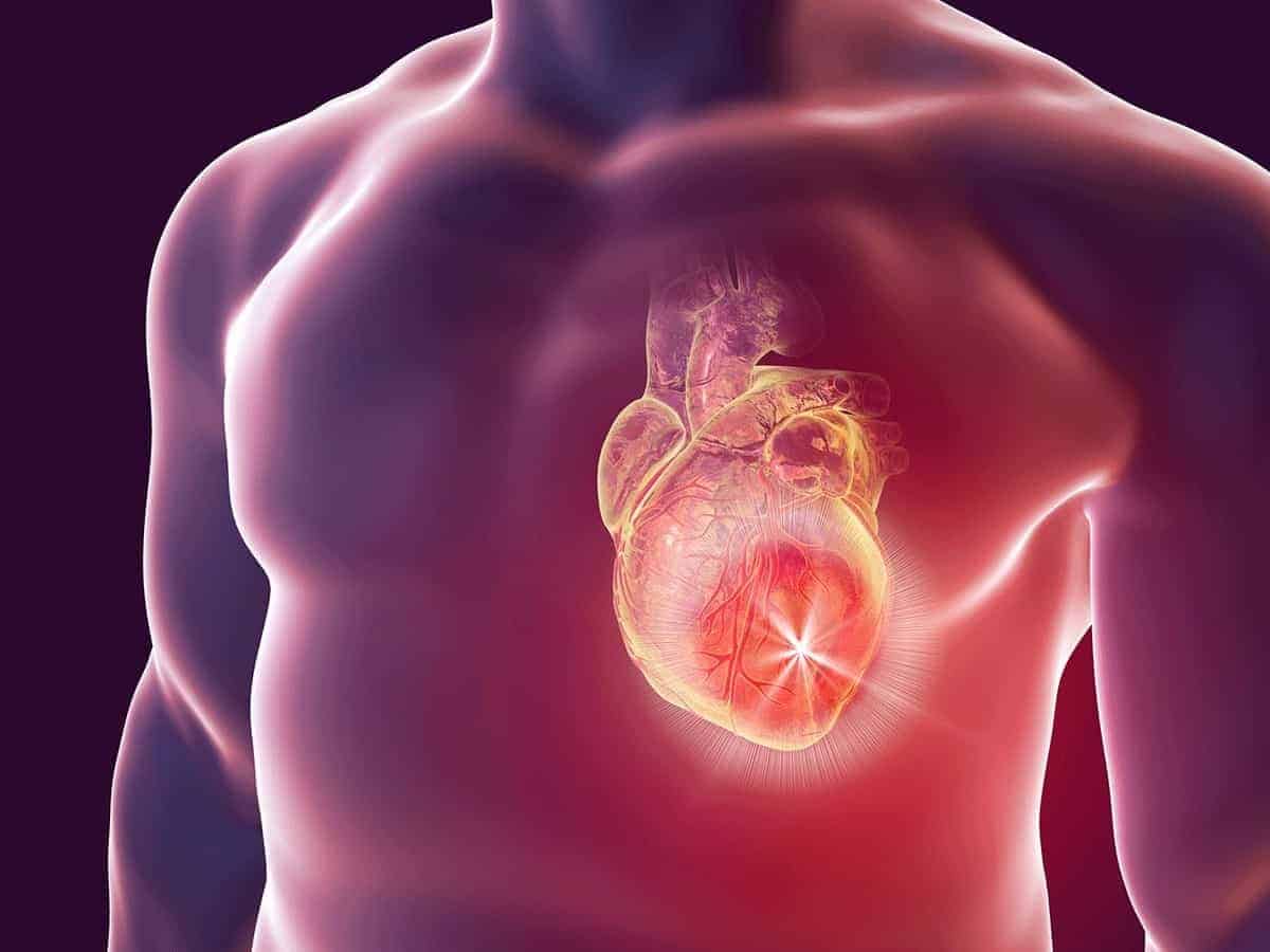 Normal Kalp Atış Hızı Nedir?