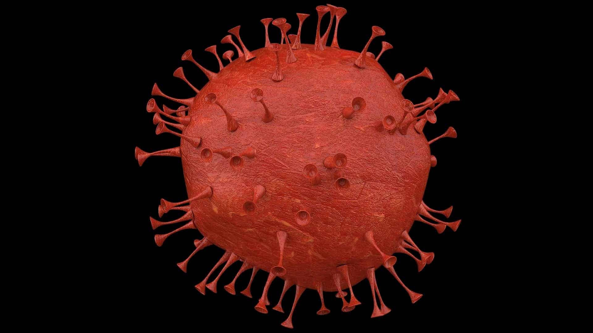 Koronavirüs Aşısı Bulundu Mu?