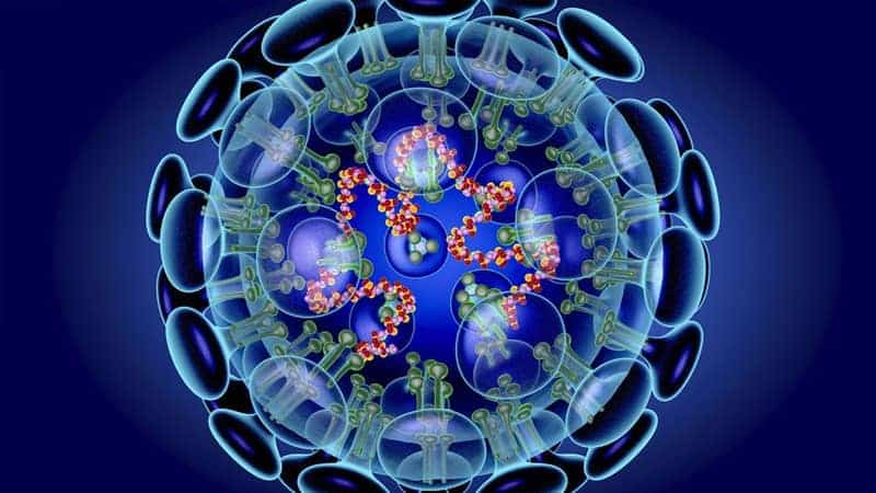 Bakteriler Ve Virüsler Arasındaki Fark Nedir?