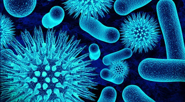 Bakteriler Ve Virüsler Arasındaki Fark Nedir?