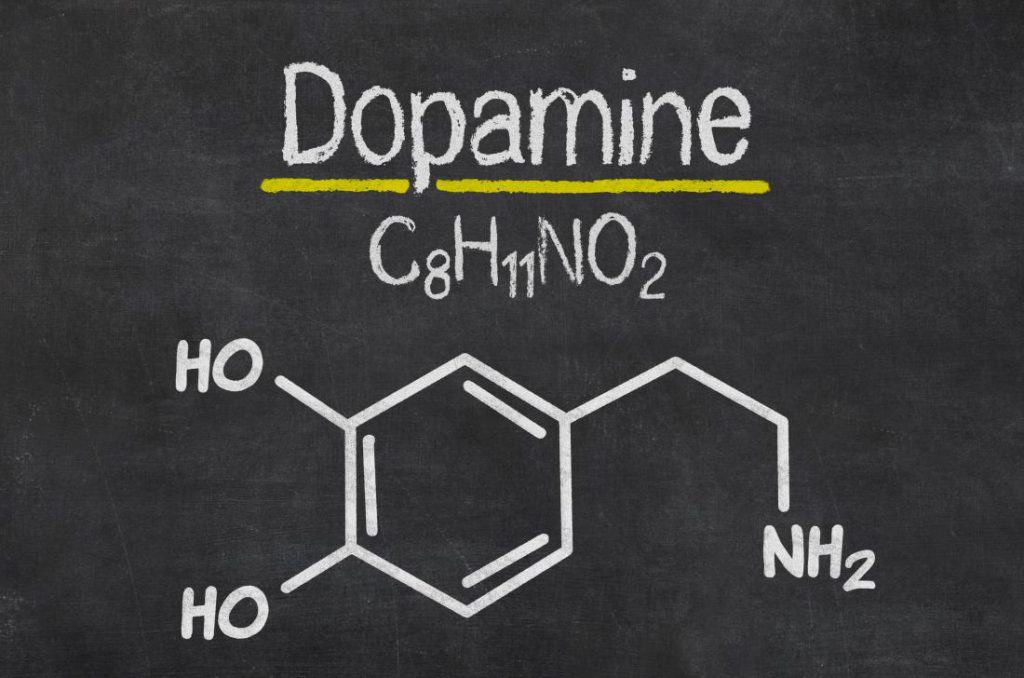 Dopamin Nedir? – Nasıl Arttırılır?