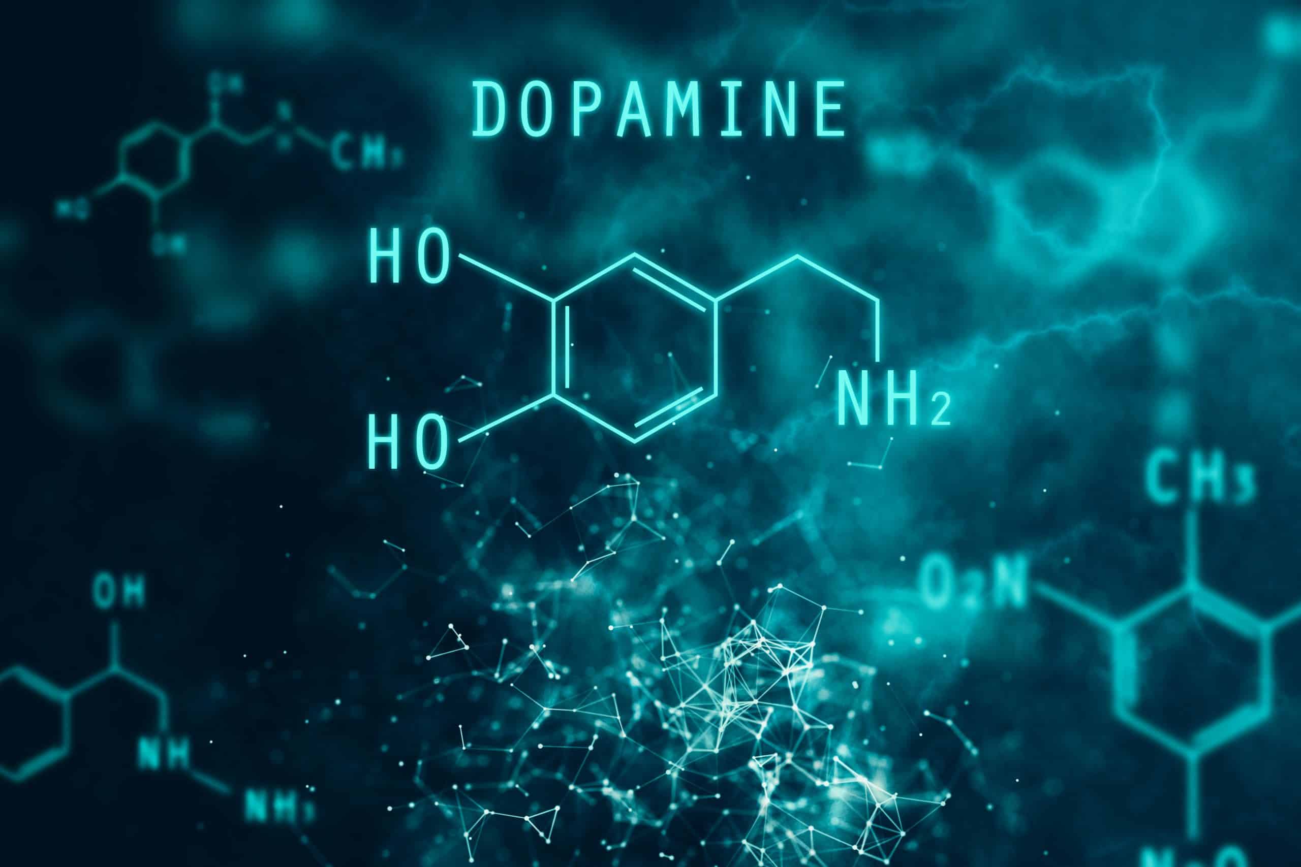 Dopamin Nedir? – Nasıl Arttırılır?