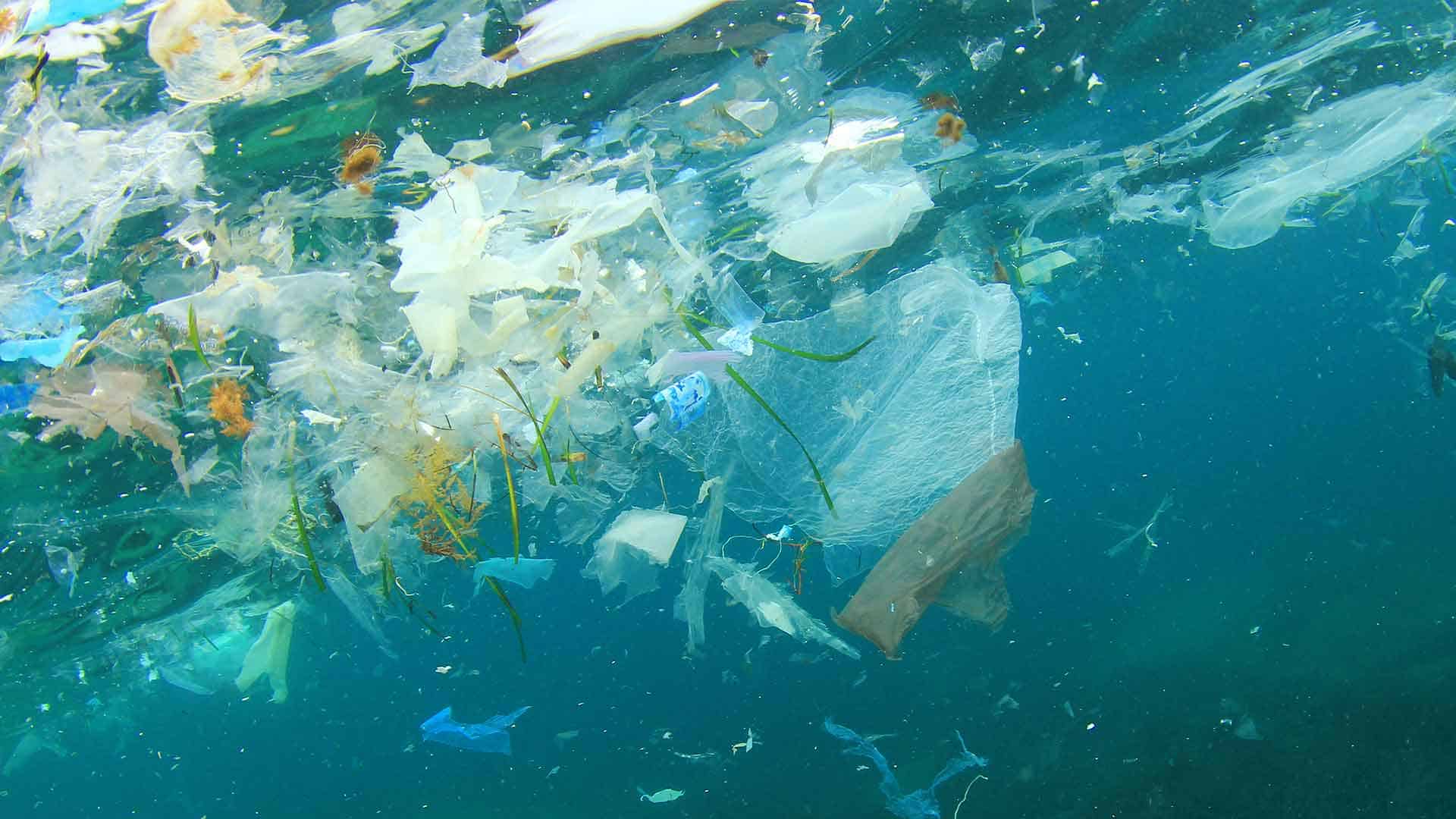 Okyanuslar Neden Plastikle Dolu?