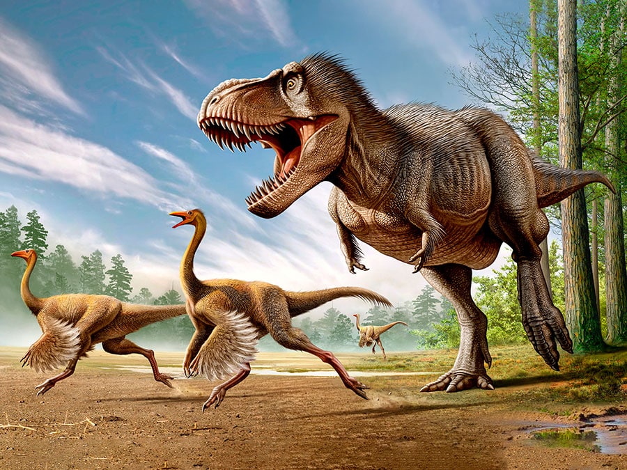 Dinozorlar Hakkında İlginç Gerçekler