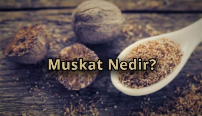 Muskat Nedir?
