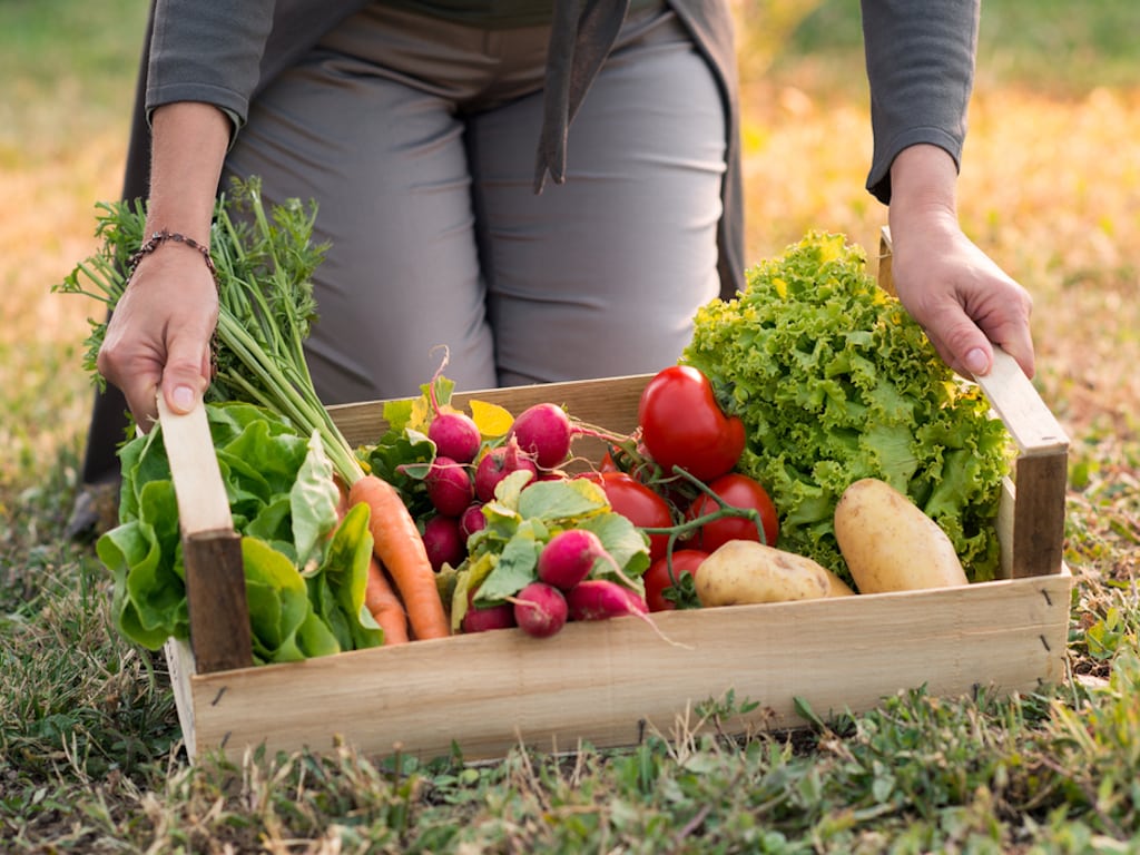 Organik Gıdalar Sandığınız Kadar Organik Mi?