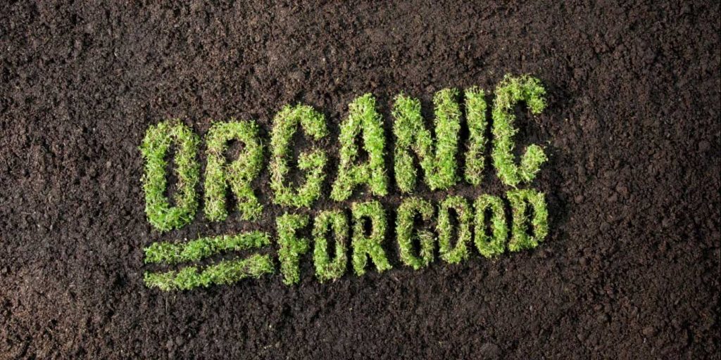 Organik Gıdalar Sandığınız Kadar Organik Mi?