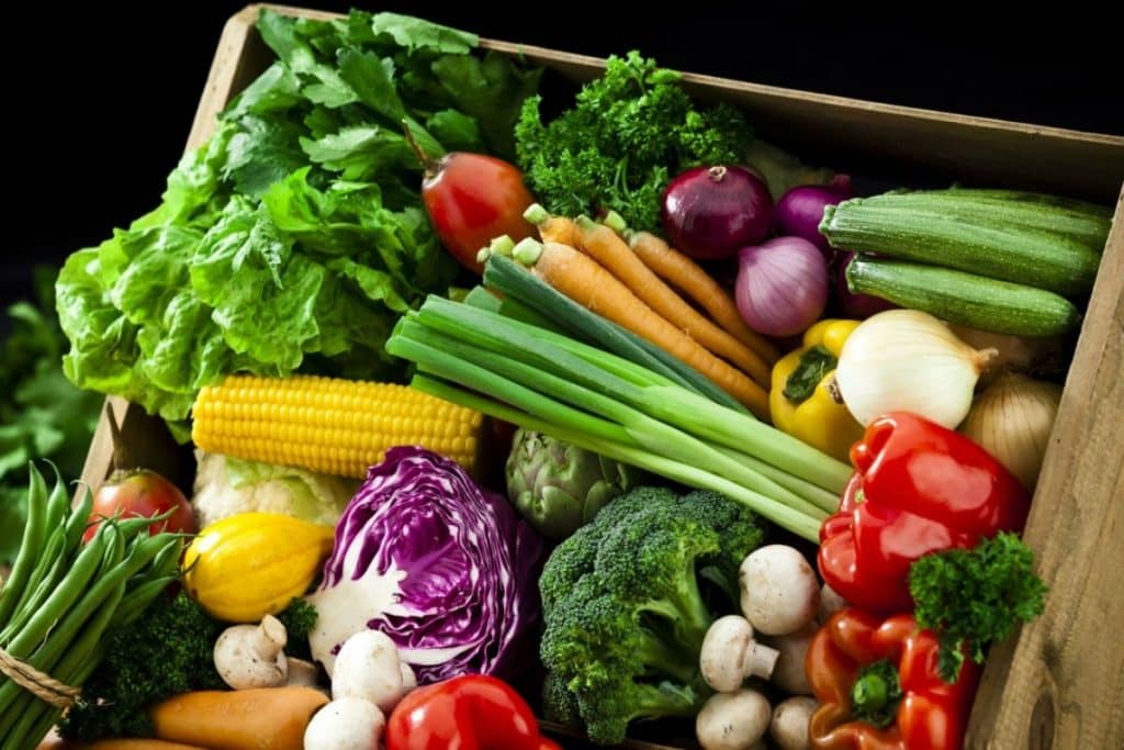Çok İlginç Vegan Gerçekleri – Vegan Olmanın Sonuçları Nelerdir?