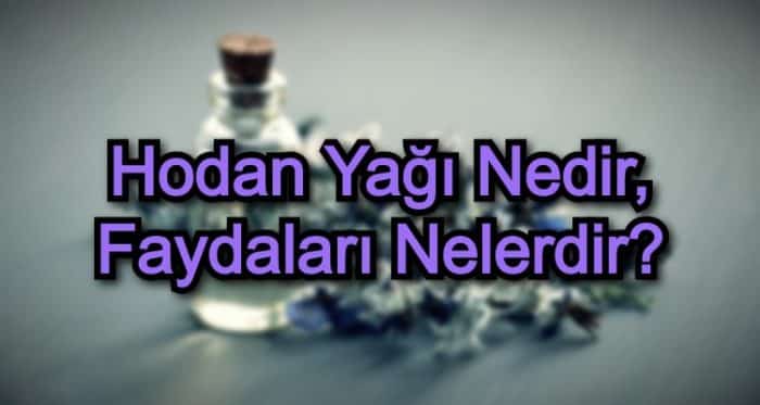 Hodan Yağı Nedir, Faydaları Nelerdir?