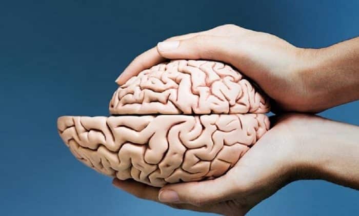 Beyin Küçülmesi Neden Olur, Nasıl Anlaşılır?