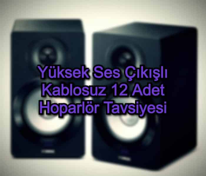 Yüksek Ses Çıkışlı Kablosuz 12 Adet Hoparlör Tavsiyesi
