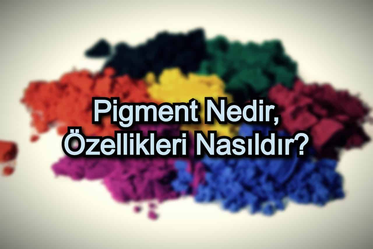 Pigment Nedir, Özellikleri Nasıldır?