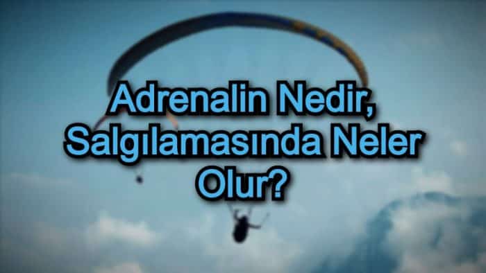 Adrenalin Nedir, Salgılamasında Neler Olur?