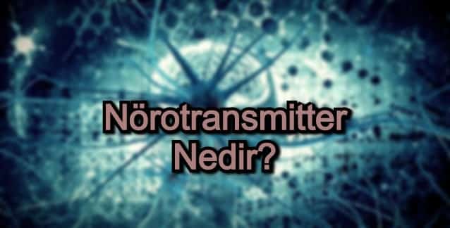 Nörotransmitter Nedir?