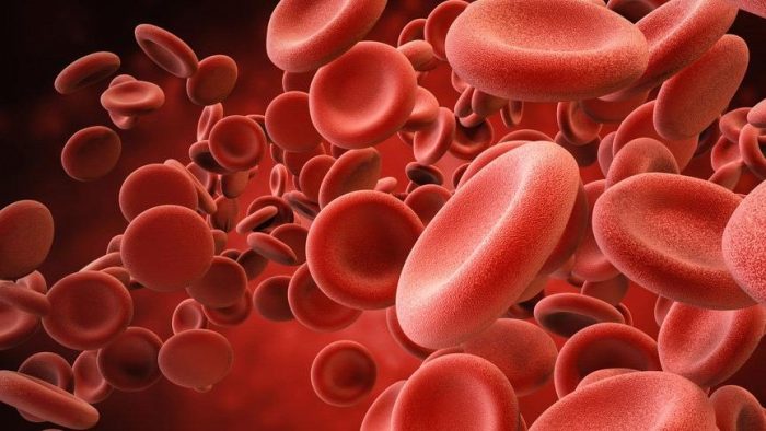 Hgb Düşüklüğü Nedir? Hemoglobin Düşüklüğünün Tedavisi