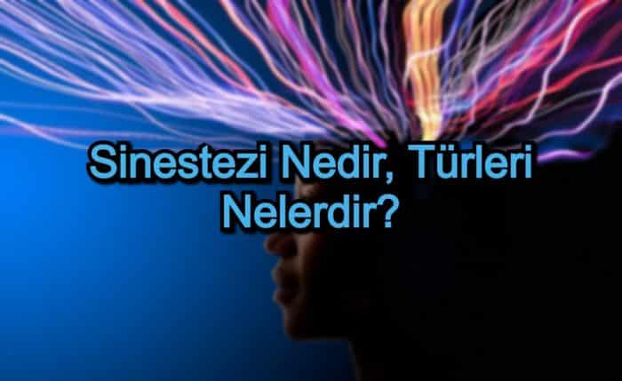 Sinestezi Nedir, Türleri Nelerdir?