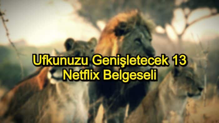 En İyi Netflix Belgeselleri – 2020 Güncel – Ufkunuzu Genişletecek 13 Netflix Belgeseli