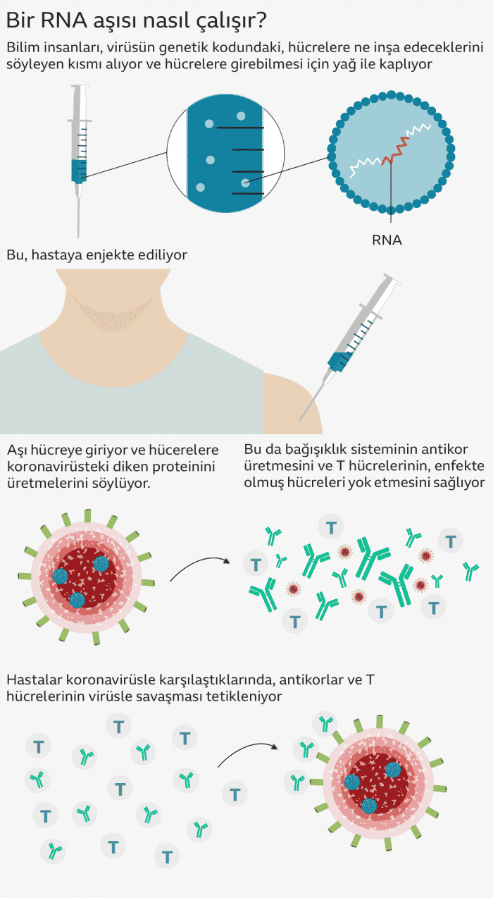 Covid-19 Aşıları Nelerdir? Hangi Aşı Daha Etkili?