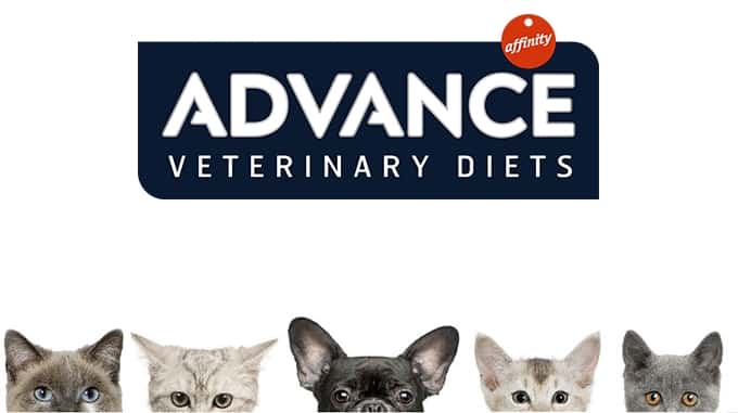 Advance cat food