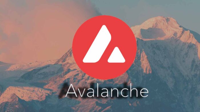 Avalanche AVAX En İyi DeFi Projeleri