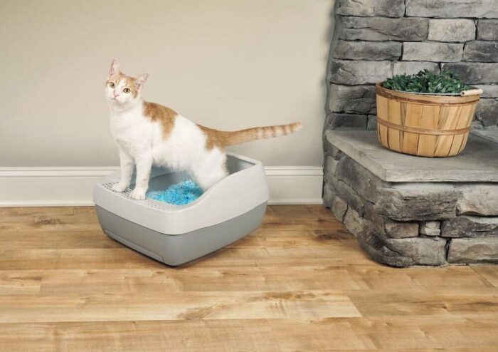 Petsafe – Deluxe Kristal Kumlu Kedi Tuvaleti kedi-tuvaletleri