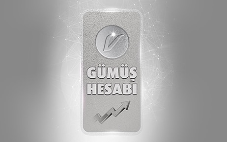 Vakifbank Gumus Hesabi