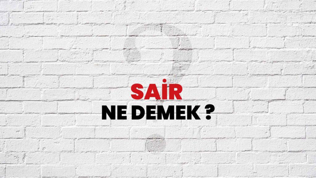 Saire Ne Demek?