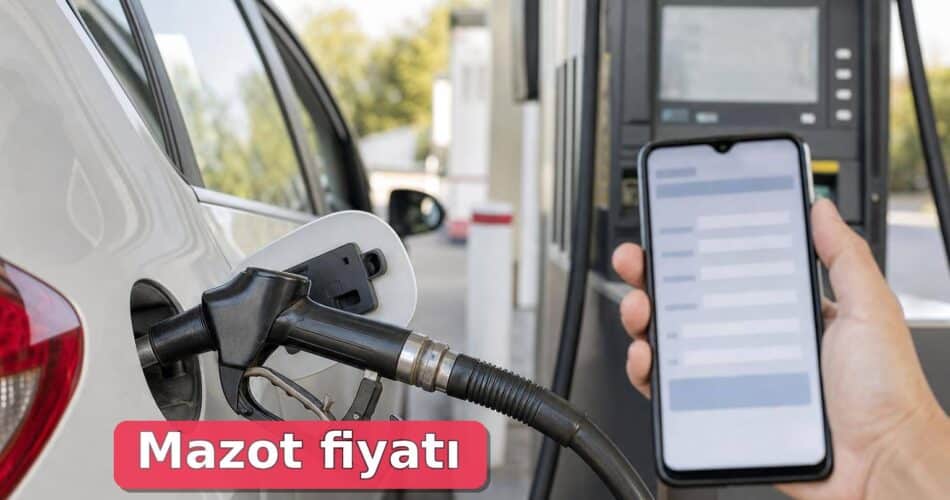 Mazot Fiyatı Resmi Kaynaktan Nasıl Kontrol Edilir? 1 Akaryakıt istasyonunda mazot fiyatını telefondan kontrol eden sürücü.